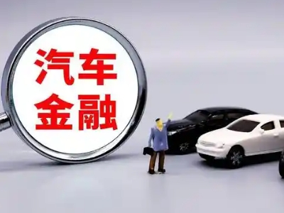 扈胡押车贷款不是本人可以么?